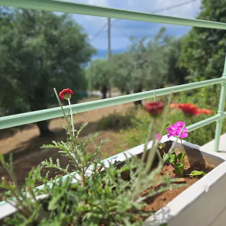 Fiori Sea View Lejlighed