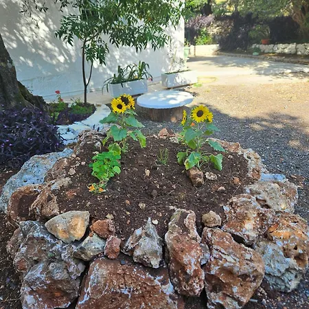 Fiori Sea View Lejlighed *