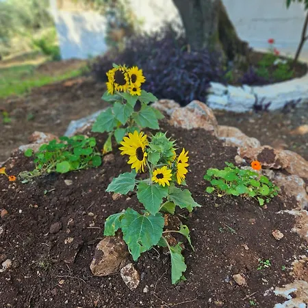 Fiori Sea View Pyrgi (Corfu)