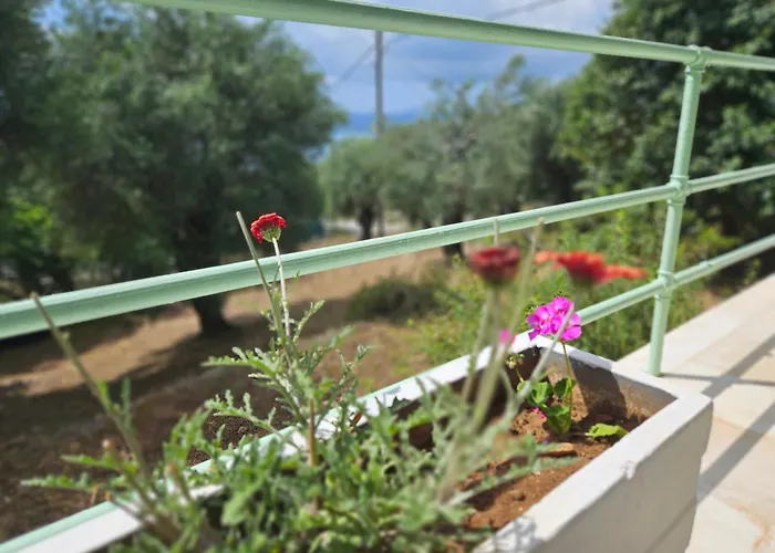 Fiori Sea View Appartement