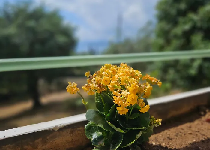 Fiori Sea View *